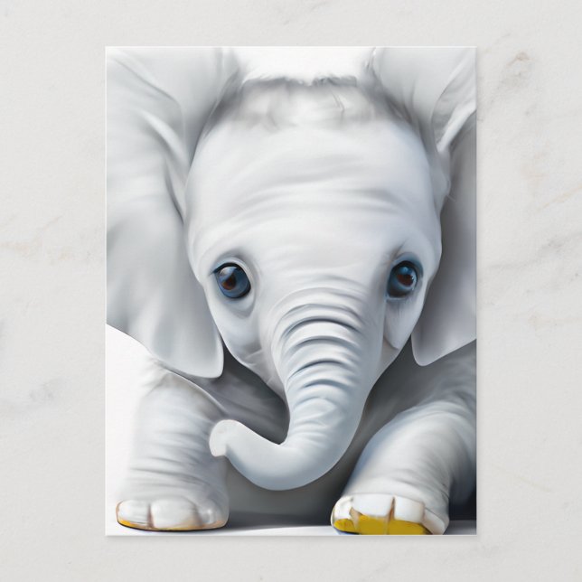 Adorable Grey Baby Elephant  Postcard (Front)