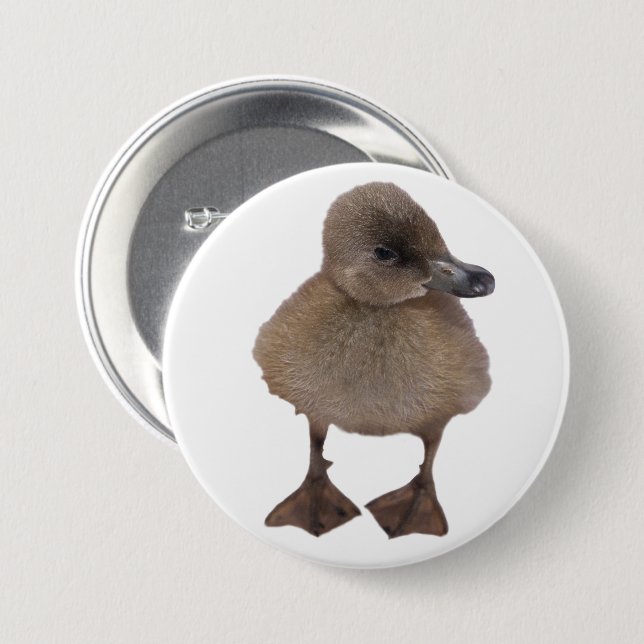 Adorable Grey Duckling Close-Up Photograph 7.5 Cm Round Badge (Front & Back)