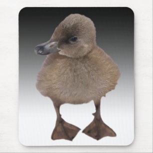 Adorable Grey Duckling Photograph Mouse Mat