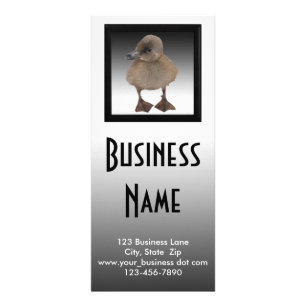 Adorable Grey Duckling Photography Business Rack Card