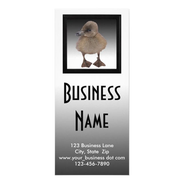 Adorable Grey Duckling Photography Business Rack Card (Front)