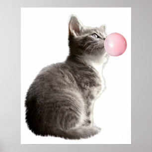 Adorable Grey Kitten Cat Bubble Gum Nursery Child Poster