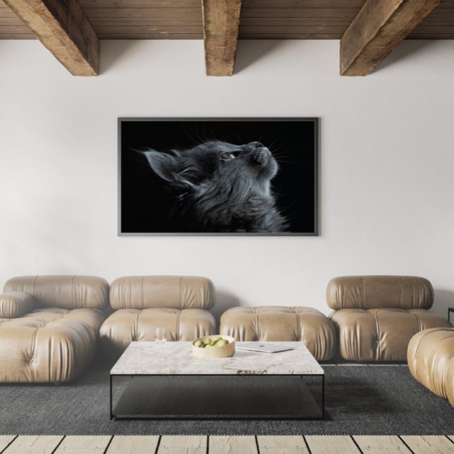 Adorable Grey Kitten with Green Eyes Poster (Creator Uploaded)