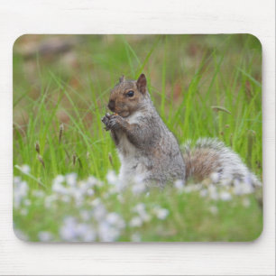 Adorable Grey Squirrel Mouse Mat
