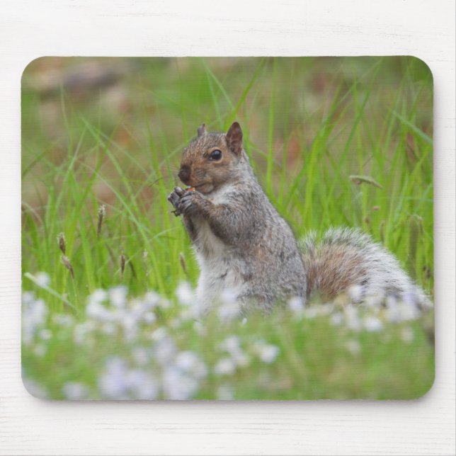 Adorable Grey Squirrel Mouse Mat (Front)