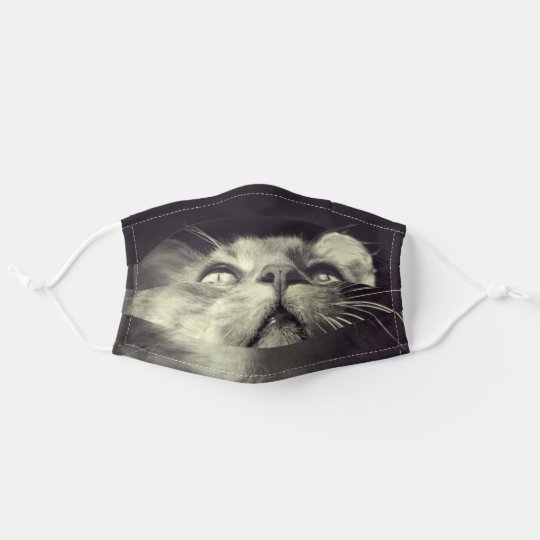 Adorable Grey Tabby Cat Face Photo Cloth Face Mask | Zazzle.co.uk