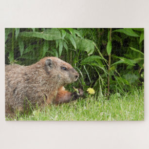 Adorable Groundhog Picking Flowers Jigsaw Puzzle