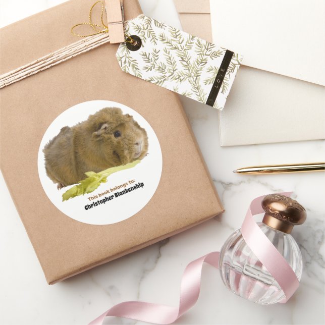 Adorable Guinea Pig Eating Celery Photography Classic Round Sticker (Gifting)