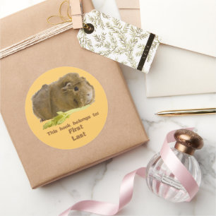 Adorable Guinea Pig Eating Celery Photography Classic Round Sticker