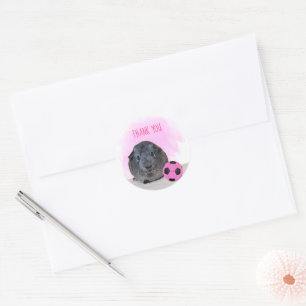 Adorable Guinea Pig Pink Soccer Ball Thank You Classic Round Sticker