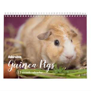 Adorable Guinea Pigs 2025 Calendar