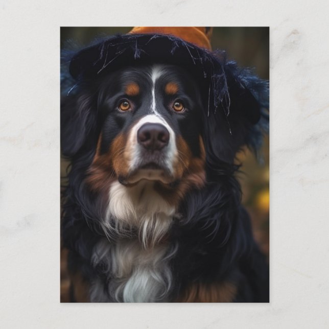 Adorable Halloween Bernese Mountain Dog Postcard (Front)