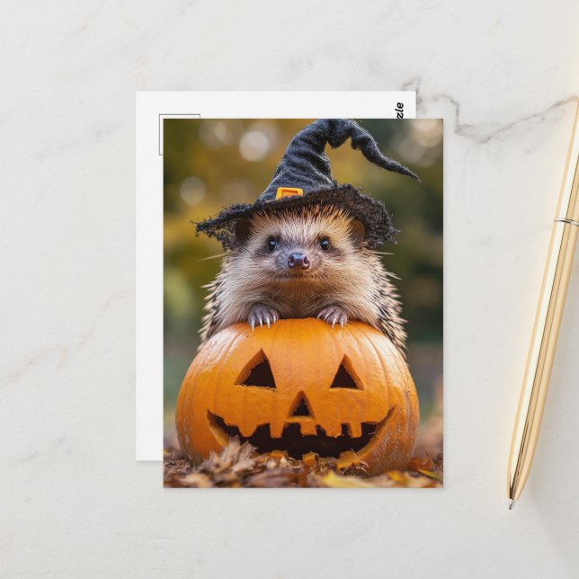 Adorable Halloween Hedgehog Postcard (Front/Back In Situ)