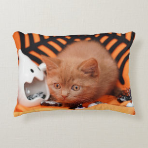 Adorable Halloween Kitten Pillow
