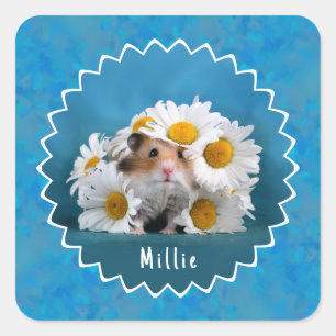 Adorable hamster in White Daisy Bouquet Square Sticker