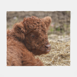 Adorable Highland Cow Calf in Hay Fleece Blanket