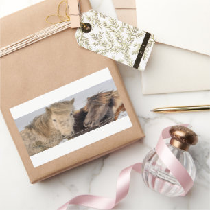 Adorable Icelandic Horse Rectangular Sticker