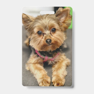 Adorable ID Badge