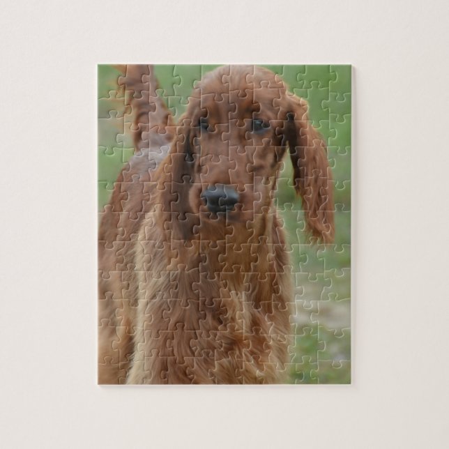 Adorable Irish Setter Jigsaw Puzzle (Vertical)