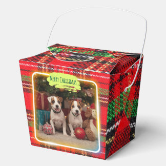 Adorable Jack Russell Terrier puppies in a Christm Favour Box