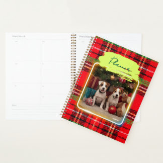 Adorable Jack Russell Terrier puppies with checker Planner