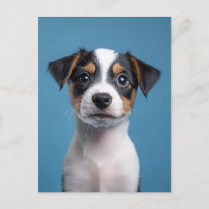 Adorable Jack Russell Terrier Puppy Portrait Postcard