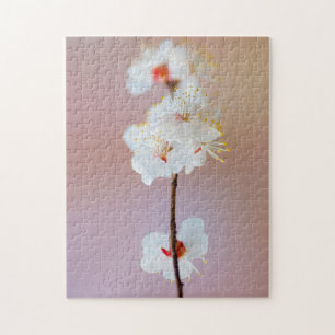 Adorable Japanese Apricot Blossoms In Spring Jigsaw Puzzle