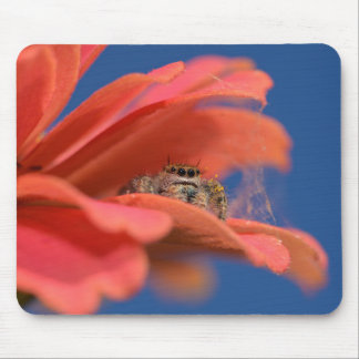 Adorable Jumper peeking out Mouse Mat
