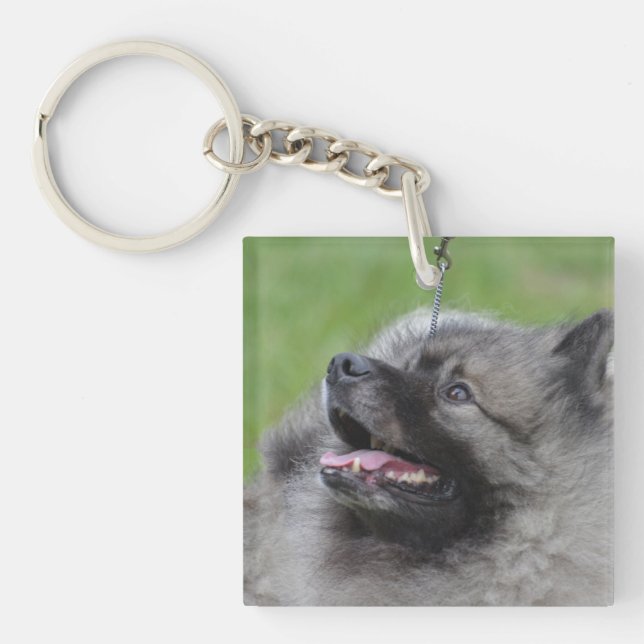 Adorable Keeshond Key Ring (Front)