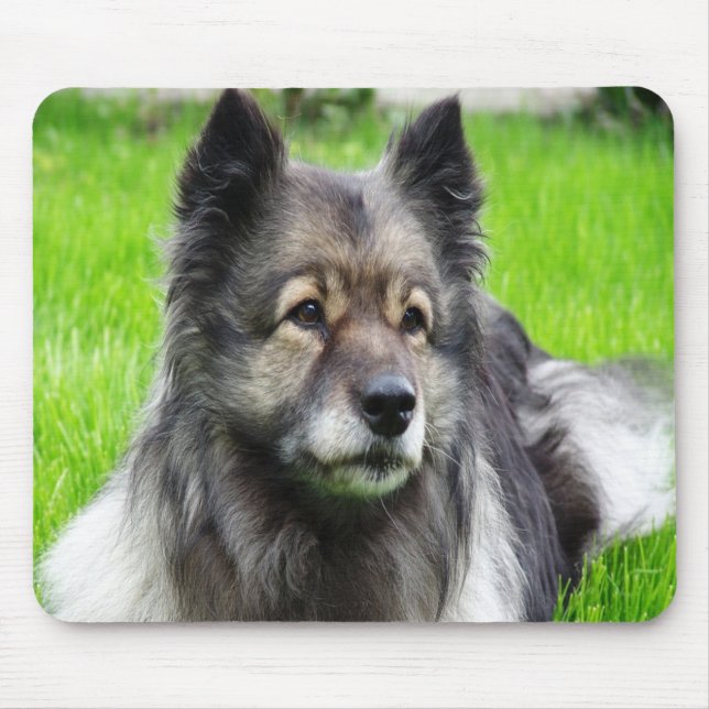 Adorable Keeshond Mouse Mat (Front)