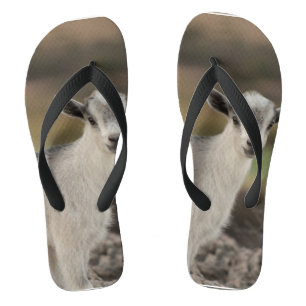 Adorable Kid Goat Flip Flops