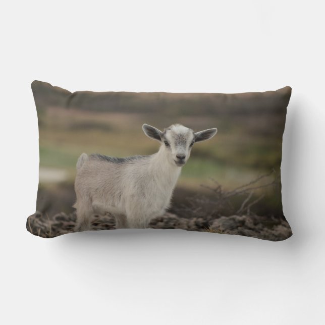 Adorable Kid Goat Lumbar Cushion (Front)