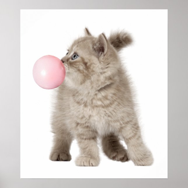 Adorable Kitten Cat Bubble Gum Nursery Child Poster (Front)