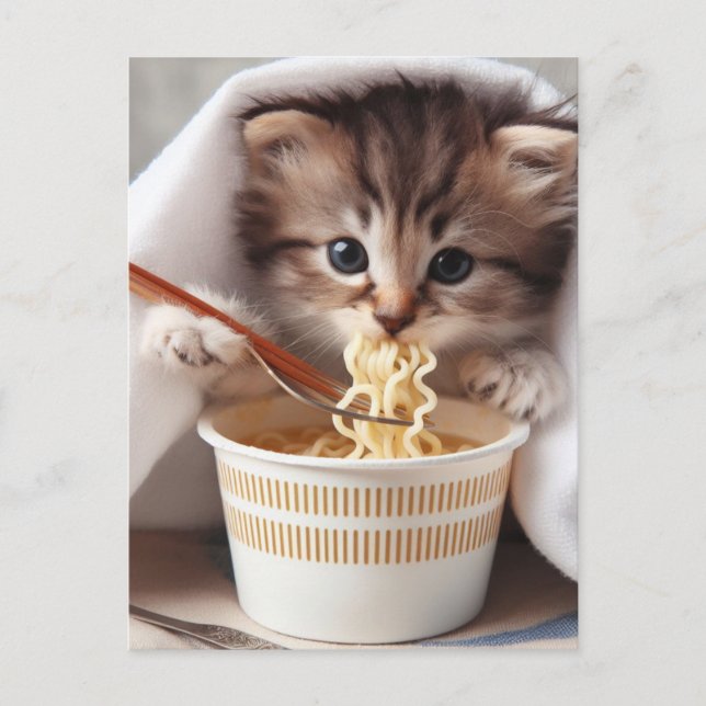 Adorable  Kitten Eating Ramen Noodles Postcard (Front)