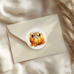 Adorable Kitten in Pumpkin Classic Round Sticker