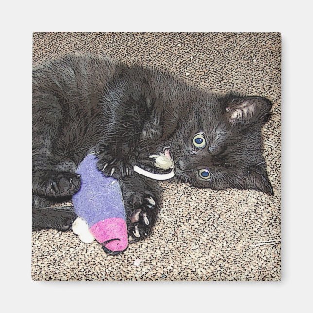 ADORABLE KITTEN MAGNET (Front)