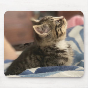 Adorable Kitten Photo, or Upload your Own Pic Mouse Mat