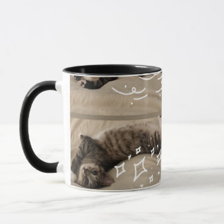 Adorable Kitten Postcard Mug