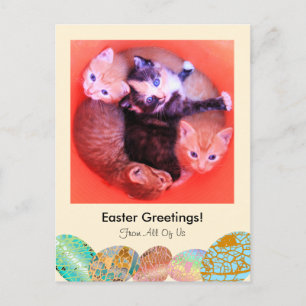 Adorable Kittens Cat Easter Greetings Custom Photo Holiday Postcard