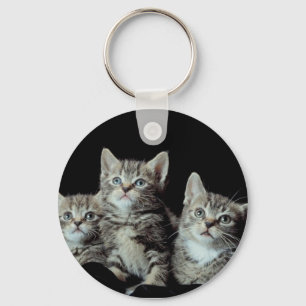 Adorable Kittens Key Ring