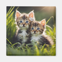 Adorable Kittens