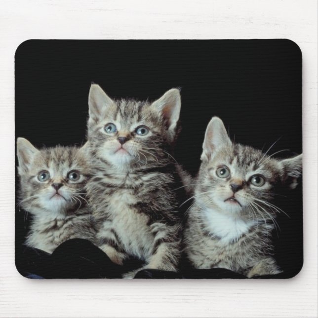 Adorable Kittens Mouse Mat (Front)