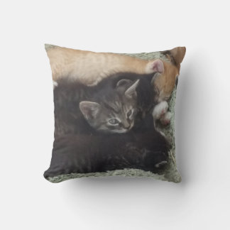 Adorable Kittens Pillow