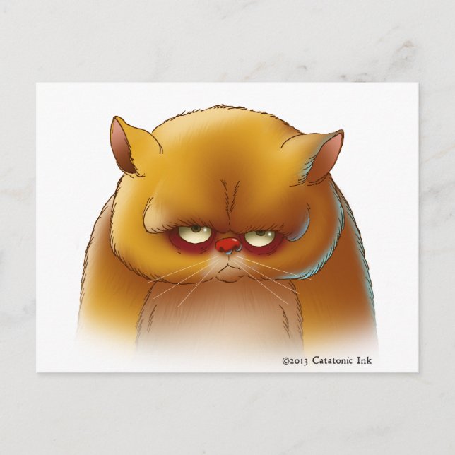 Adorable Kitty Cat Postcard (Front)