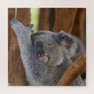 Adorable Koala Bear Jigsaw Puzzle