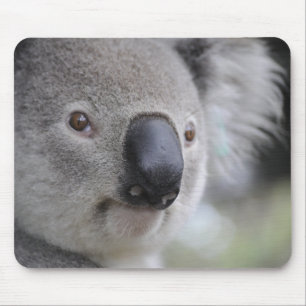 Adorable Koala Bear Mouse Mat