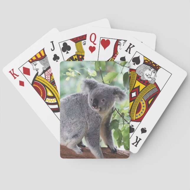 Adorable Koala Bear Tree Green Leaves Wildlife Playing Cards (Back)