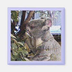 Adorable Koala Magnet