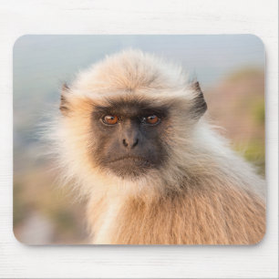 Adorable Langurs Presbytis Entellus Mouse Mat