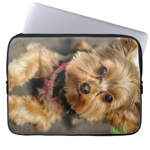Adorable Laptop Sleeve